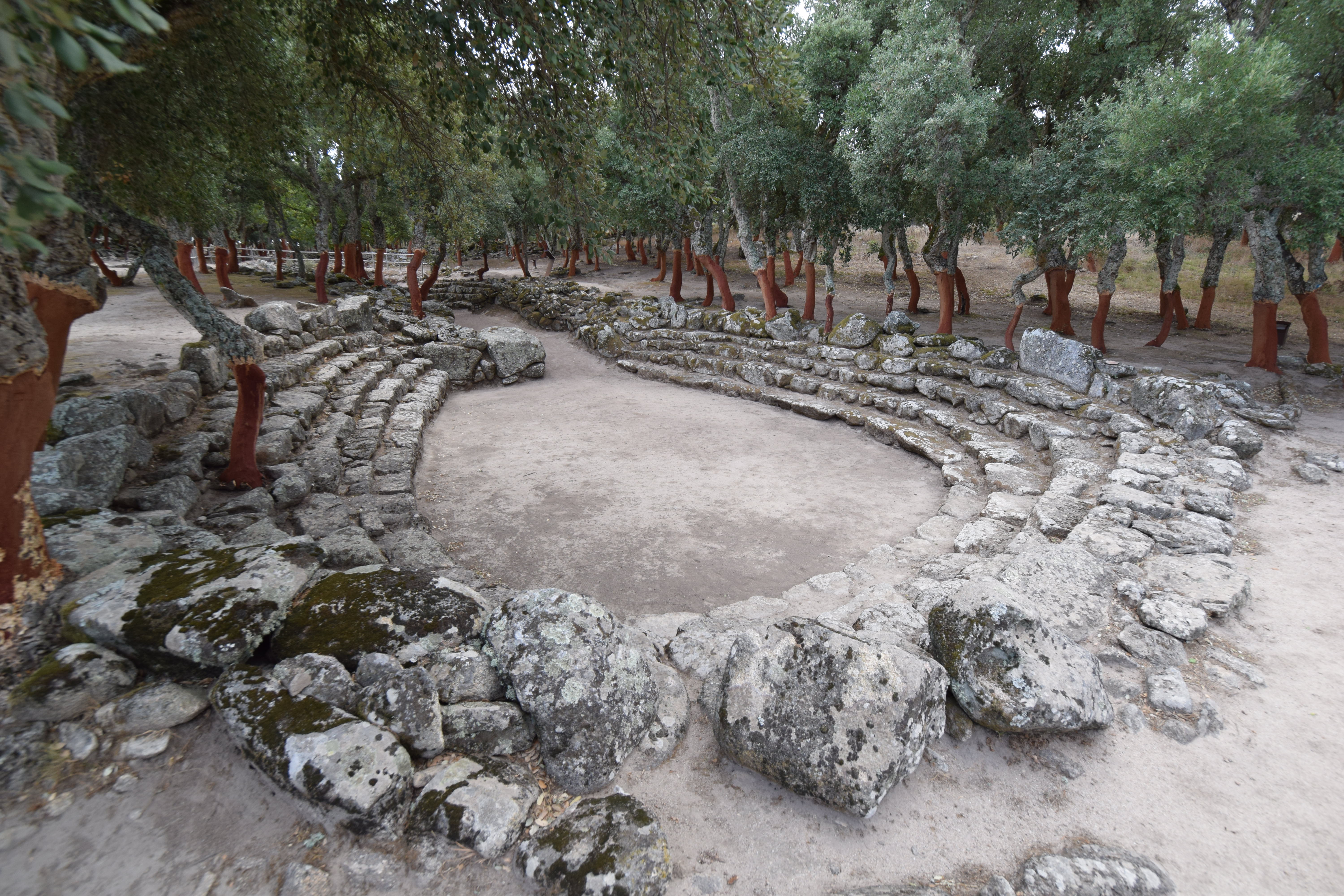 Visite guidate al Complesso nuragico di Romanzesu, Museo della civiltà pastorale e contadina-MUBI e Museo multimediale del canto a tenore-MMT a  Bitti.